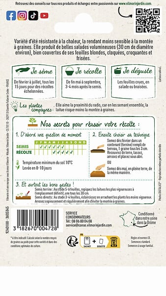 VILMORIN - Laitue Batavia de Pierre Bénite VILMORIN - large