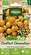 VILMORIN - Tomate cerise orange clémentine bio Vilmorin - vignette