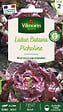 VILMORIN - Laitue picholine Vilmorin - vignette