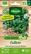 VILMORIN - Coriandre Cultivée Bio GM Vilmorin - vignette