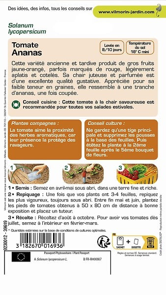 VILMORIN - Tomate Ananas Vilmorin - large