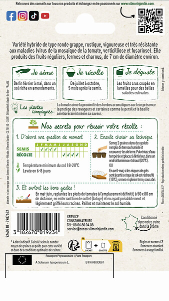 VILMORIN - Tomate grappe pépite HF1 Vilmorin - large