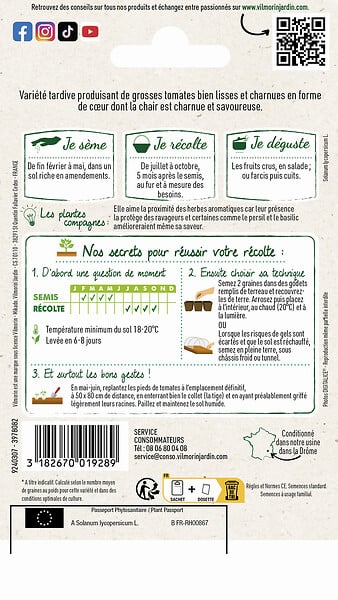 VILMORIN - Tomate Cuor Di Bue Vilmorin - large