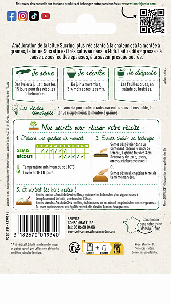 VILMORIN - Laitue grasse Sucrette Vilmorin - large