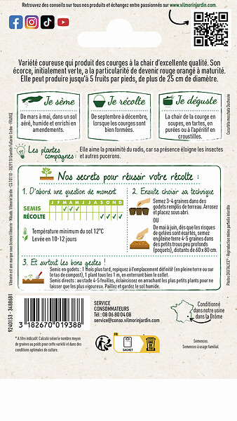 VILMORIN - Courge musquée de Provence Vilmorin - large