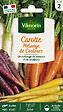 VILMORIN - Carotte mélange de couleurs Vilmorin - vignette