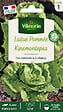 VILMORIN - Laitue Pommée Kinemontepas - vignette