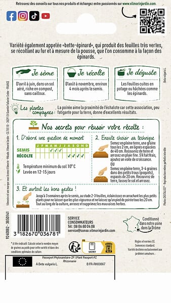 VILMORIN - Poirée verte à couper - large