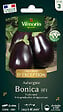 VILMORIN - Aubergine Bonica HF1 - vignette