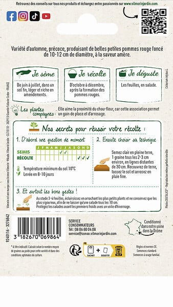 VILMORIN - Chicorée à larges feuilles Palla Rossa - large