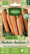 VILMORIN - Carotte Nantaise améliorée 3 bio - vignette
