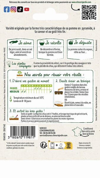 VILMORIN - Chou brocoli Romanesco précoce - large