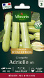 VILMORIN - Courgette adrielle hf1 'obtvilmo' - vignette