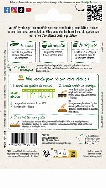 VILMORIN - Courgette adrielle hf1 'obtvilmo' - large