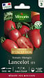 VILMORIN - Tomate Lancelot HF1 - vignette