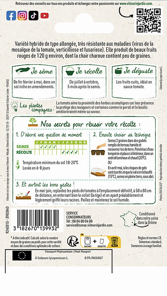 VILMORIN - Tomate Lancelot HF1 - large