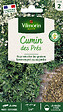 VILMORIN - Cumin des prés 'ou carvi' - vignette