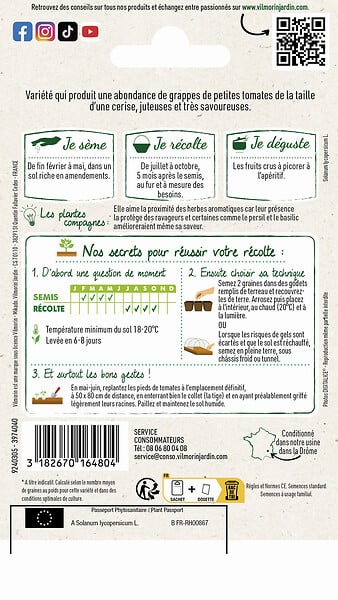 VILMORIN - Tomate cerise - large