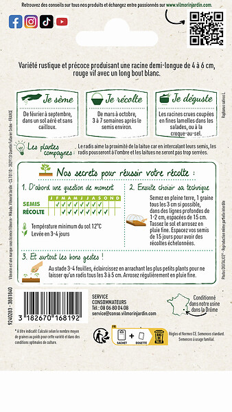 VILMORIN - Radis Pernot clair - large