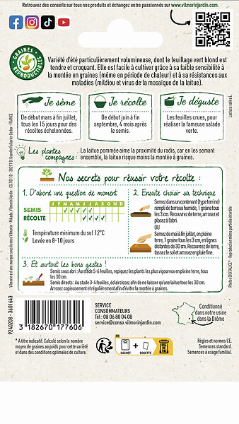 VILMORIN - Laitue Pommée Sagess - large