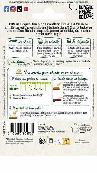 VILMORIN - Marjolaine ordinaire - large