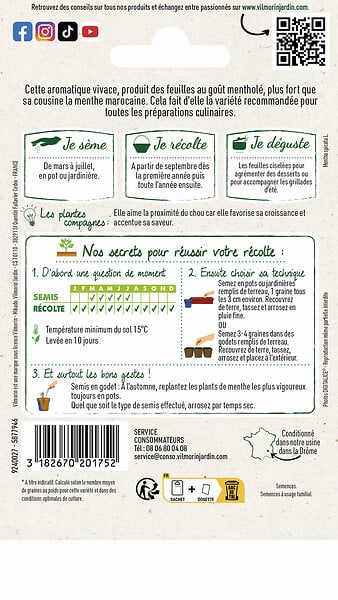 VILMORIN - Menthe poivree - large