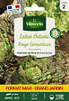 VILMORIN - Laitue batavia rouge grenoble eco - vignette