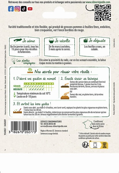 VILMORIN - Laitue batavia rouge grenoble eco - large