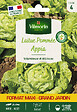 VILMORIN - Laitue Appia Grand Jardin - vignette
