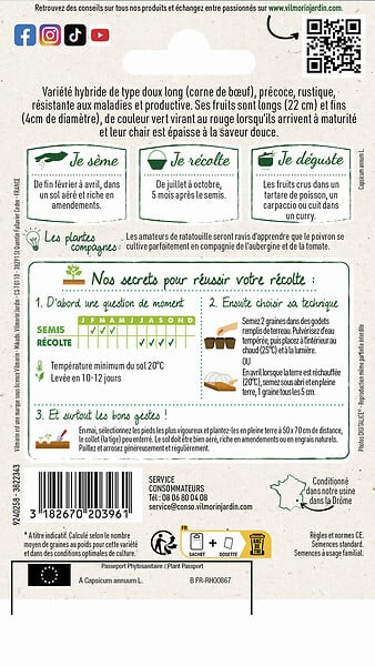 VILMORIN - Piment doux Spadi HF1 Création Vilmorin Vilmorin - large