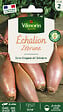 VILMORIN - Echalion Zebrune - vignette