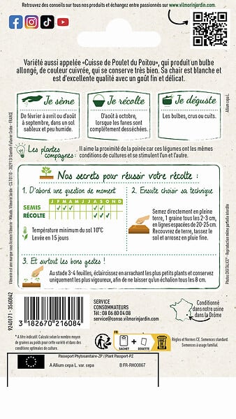 VILMORIN - Echalion Zebrune - large