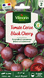 VILMORIN - Tomate Black Cherry VILMORIN - vignette