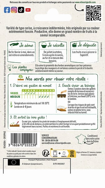 VILMORIN - Tomate Black Cherry VILMORIN - large