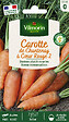 VILMORIN - Carotte Chantenay coeur rouge 2 - vignette