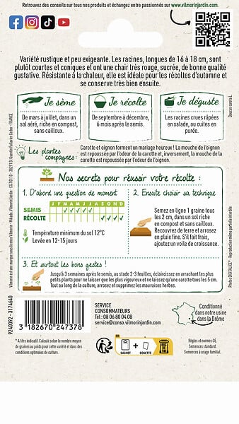 VILMORIN - Carotte Chantenay coeur rouge 2 - large