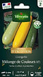 VILMORIN - Courgette melange de couleurs - vignette