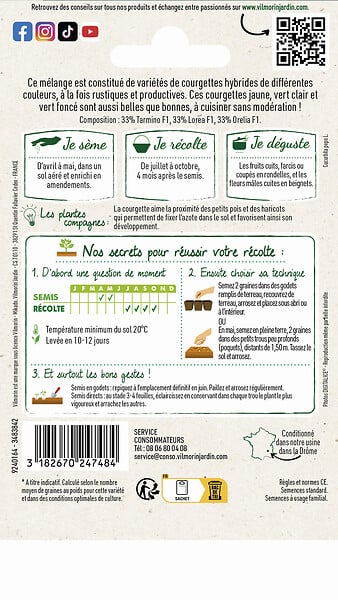VILMORIN - Courgette melange de couleurs - large