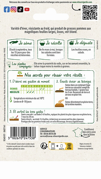 VILMORIN - Laitue val d'Orge - large