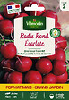 VILMORIN - Radis rond écarlate - vignette