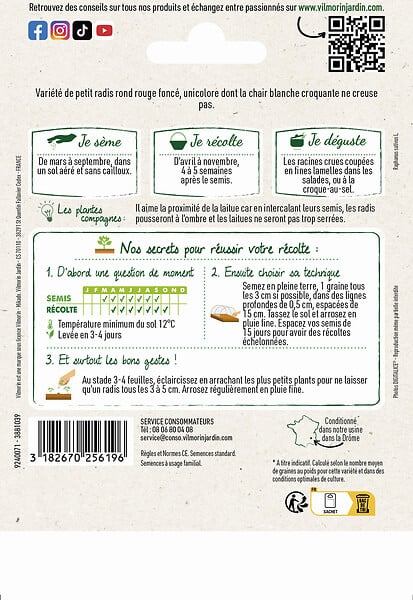 VILMORIN - Radis rond écarlate - large