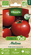 VILMORIN - Tomate Matina BIO VILMORIN - vignette