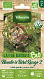 VILMORIN - Laitue blonde a bord rouge 2 - vignette