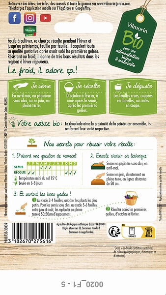 VILMORIN - Chou frise ou kale Westlandse Winter bio - large