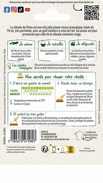 VILMORIN - Ciboule de chine ail a couper kobold Vilmorin - large