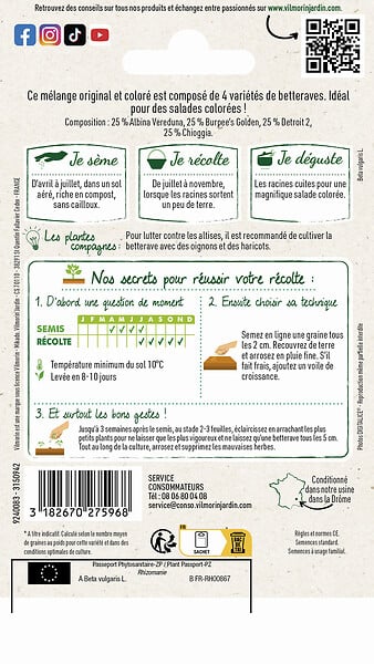 VILMORIN - Betterave arc en ciel - large