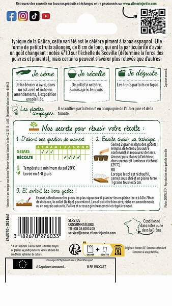 VILMORIN - Poivron padron Vilmorin - large