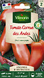 VILMORIN - Tomate cornue des Andes - vignette