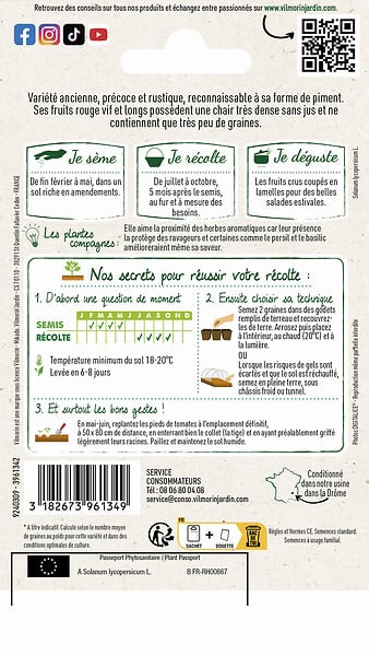 VILMORIN - Tomate cornue des Andes - large