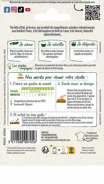 VILMORIN - Chicorée frisée très fine maraîchère 3 - large
